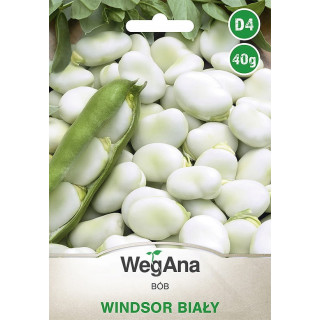 Bób Windsor Biały 40g WegAna
