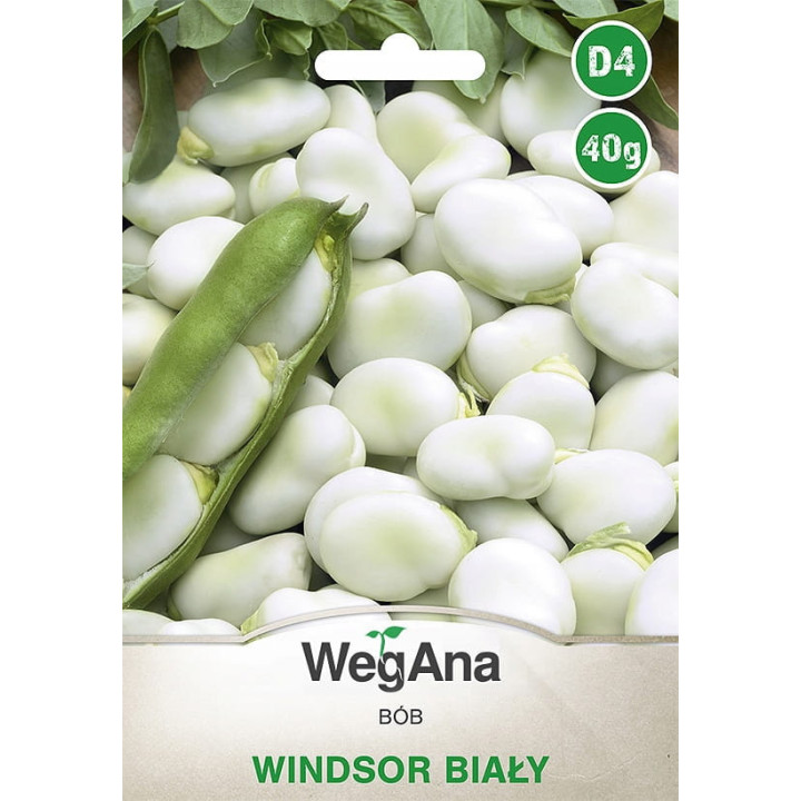 Bób Windsor Biały 40g WegAna