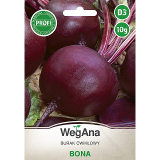 Burak ćwikłowy - okrągły Bona 20g