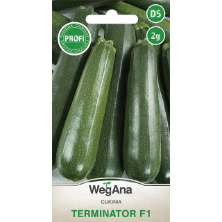Cukinia Terminator F1 2g dynia zwyczajna