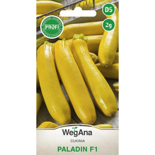 Cukinia Paladin F1 2g dynia zwyczajna