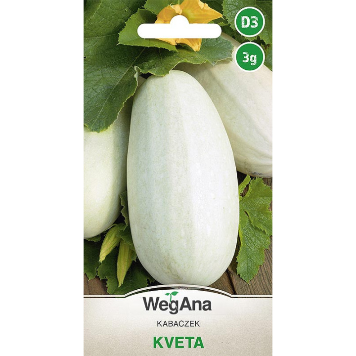 Kabaczek Kveta 3g dynia zwyczajna
