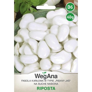 Fasola wielkokwiatowa karłowa na s. nasiona Riposta 40g