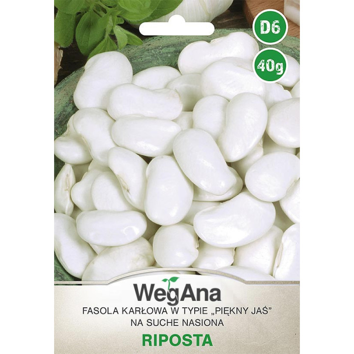 Fasola wielkokwiatowa karłowa na s. nasiona Riposta 40g