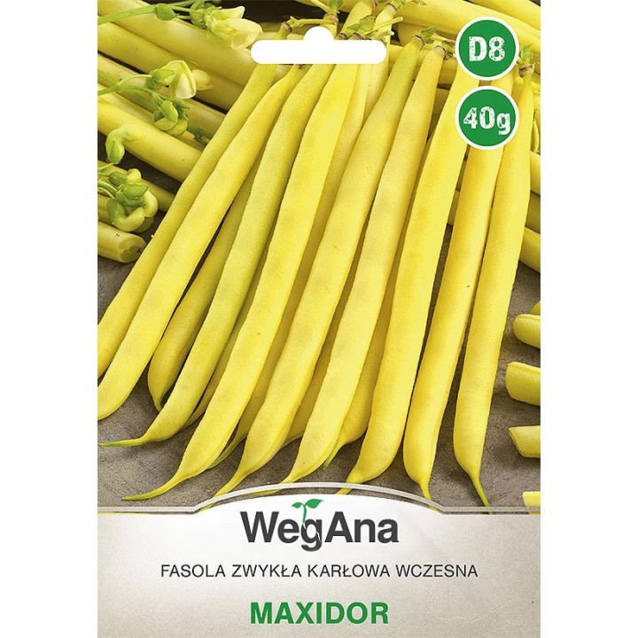 Fasola szparagowa karłowa żółtostrąkowa Maxidor 40g