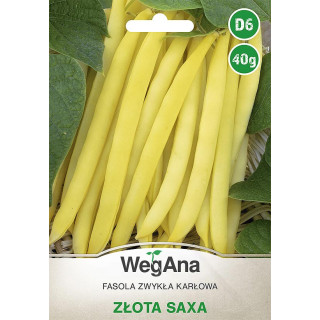 Fasola szparagowa karłowa żółtostrąkowa Złota Saxa 40g