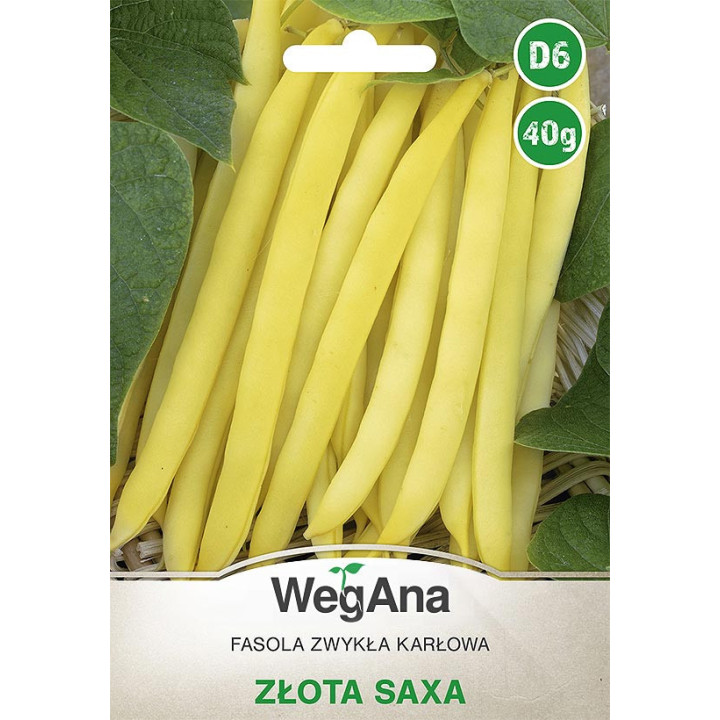 Fasola szparagowa karłowa żółtostrąkowa Złota Saxa 40g