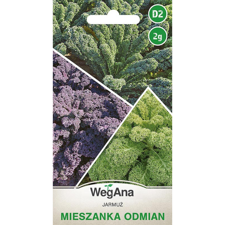 Jarmuż mieszanka odmian 2g WegAna