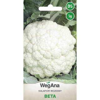 Kalafior Beta 1g WegAna