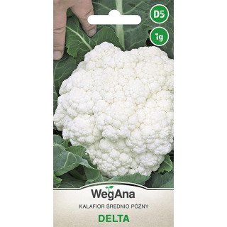 Kalafior Delta 1g WegAna