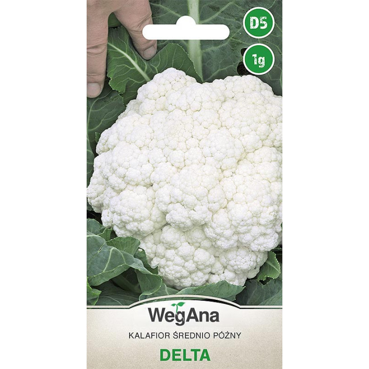 Kalafior Delta 1g WegAna