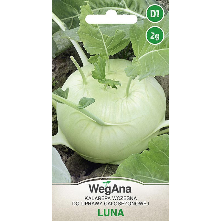Kalarepa - biała Luna 2g