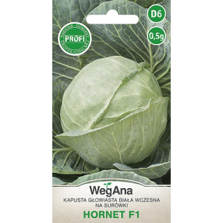 Kapusta głowiasta biała Hornet F1 0,5g
