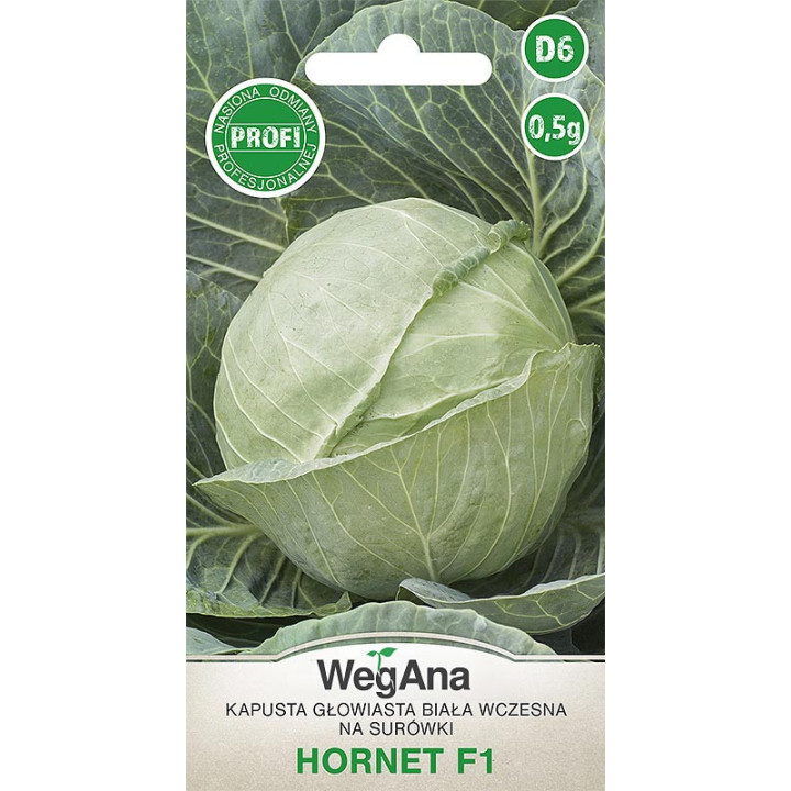 Kapusta głowiasta biała Hornet F1 0,5g