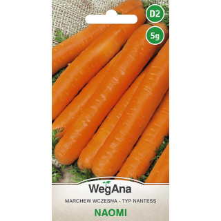Marchew jadalna - typ Nantess Naomi 5g