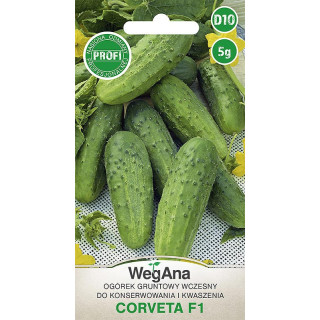 Ogórek konserwowy - gruntowy Corveta F1 3g