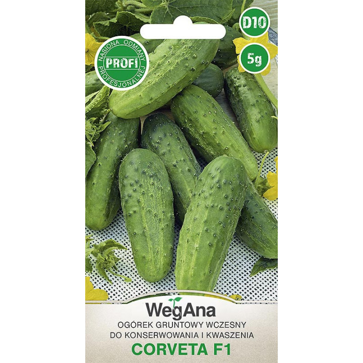 Ogórek konserwowy - gruntowy Corveta F1 3g