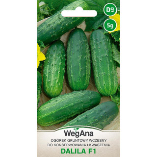 Ogórek konserwowy - gruntowy Dalila F1 5g