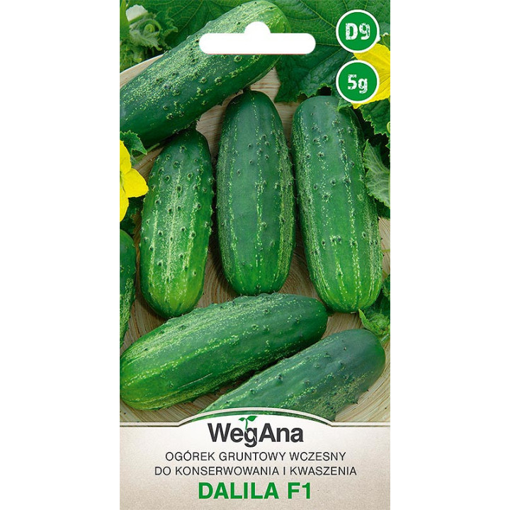 Ogórek konserwowy - gruntowy Dalila F1 5g