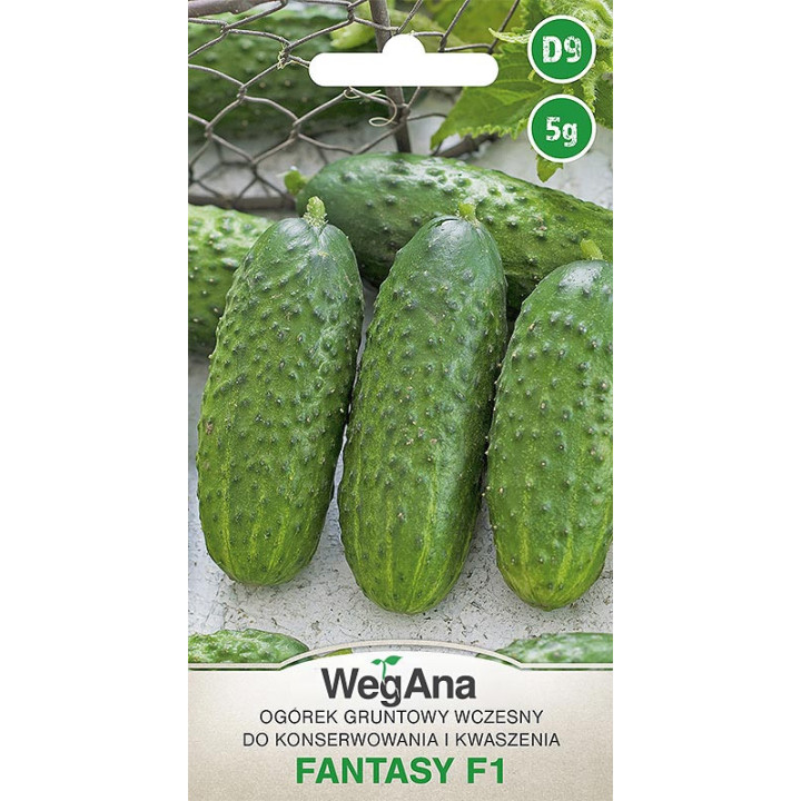 Ogórek konserwowy - gruntowy Fantasy F1 5g