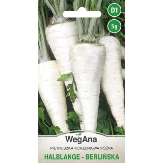 Pietruszka - korzeniowa późna Halblange - Berlińska 5g