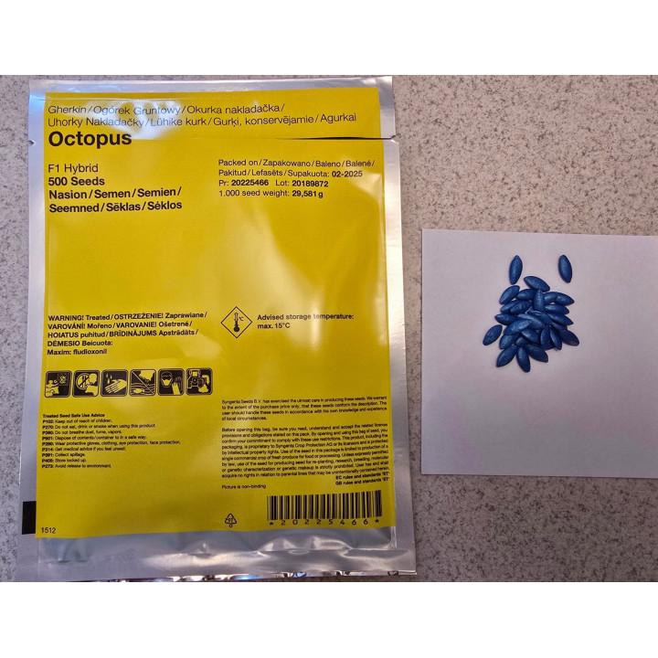 Ogórek Gruntowy Octopus F1 500 nasion Syngenta | Sklep Dymka
