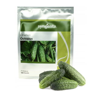 OGÓREK OCTOPUS 500 NASION 07-2025