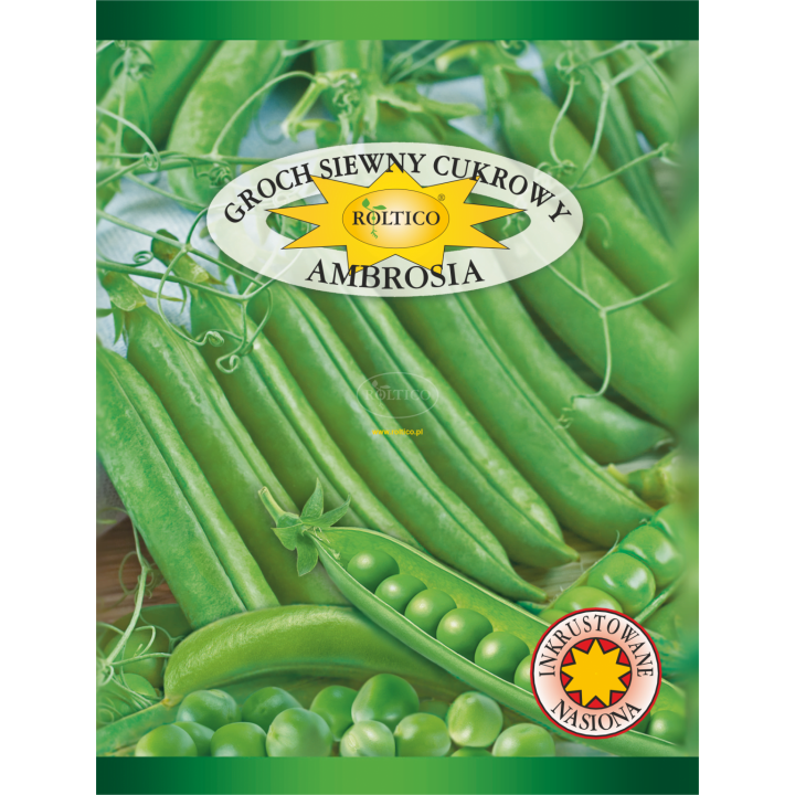 Groch siewny cukrowy Ambrosia 40g