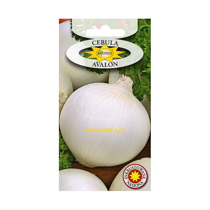 Cebula  Cebula Avalon - (biała) 3g ROL