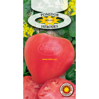 Pomidor gruntowy Herodes w typie bawole serce 0,5g ROLTICO