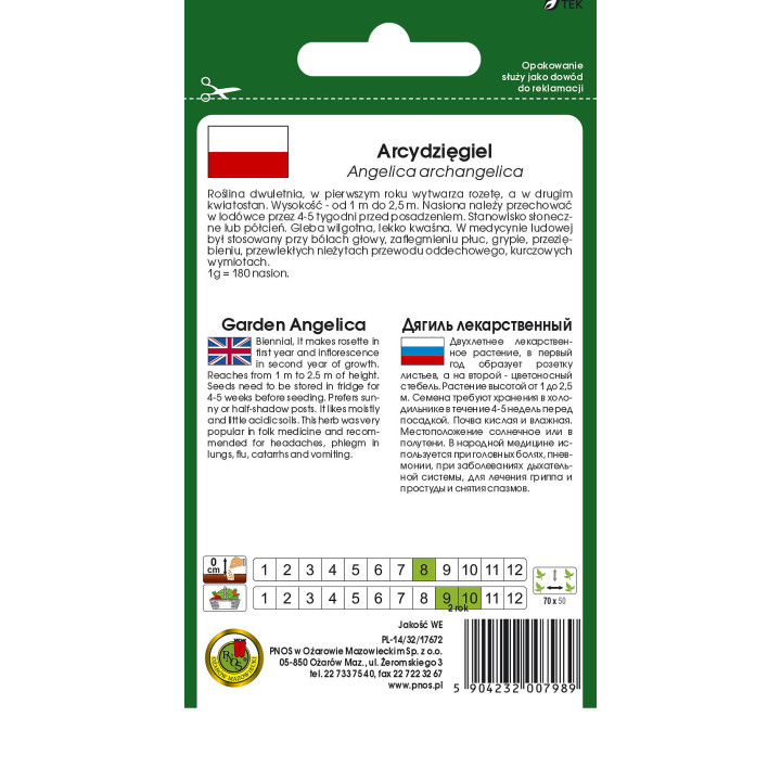 ARCYDZIĘGIEL 0,3g PNOS