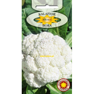 Kalafior Bora 1g ROLTICO