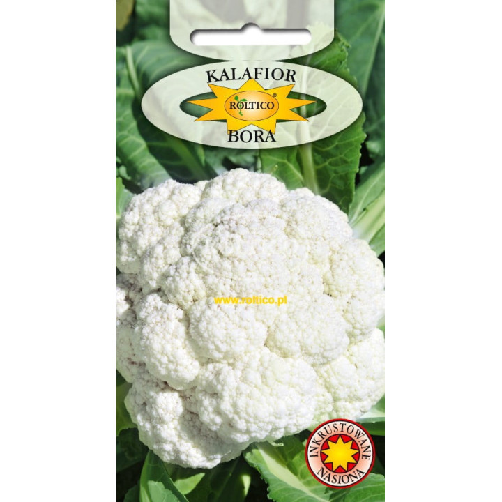 Kalafior Bora 1g ROLTICO