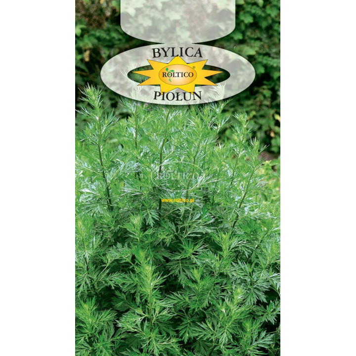 Bylica Piołun Artemisia absinthium 0,2g ROL