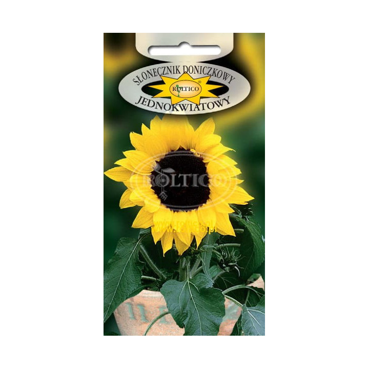 Słonecznik doniczkowy jednokwiatowy 1g ROL