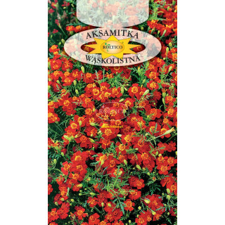 Aksamitka wąskolistna Czerwona 0,3g ROL