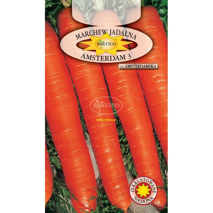 Marchew Amsterdam 3 5g ROLTICO