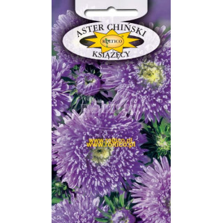Aster książęcy Fioletowy 1g ROL