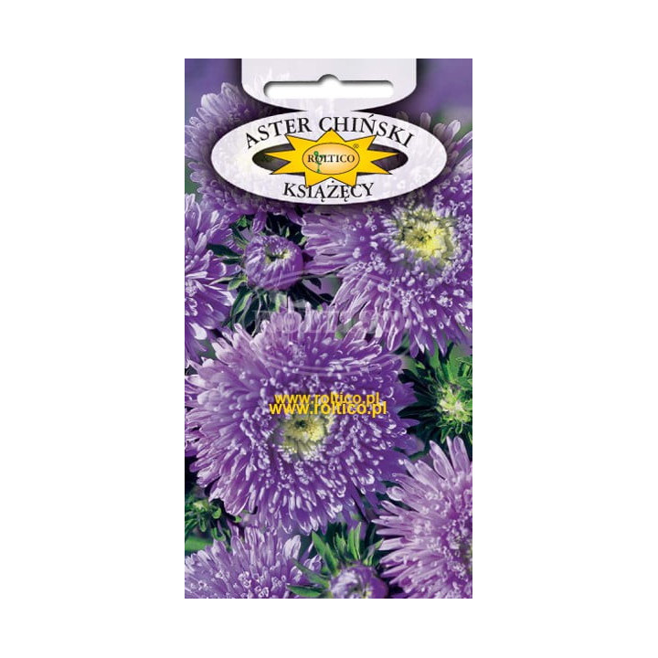 Aster książęcy Fioletowy 1g ROL