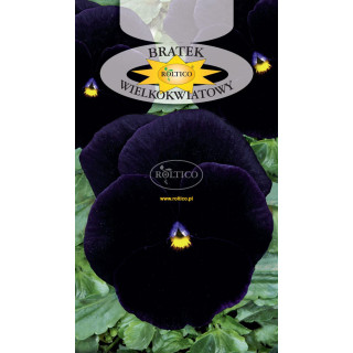 Bratek ogrodowy Granat /Bergwacht/ 0,5g ROL