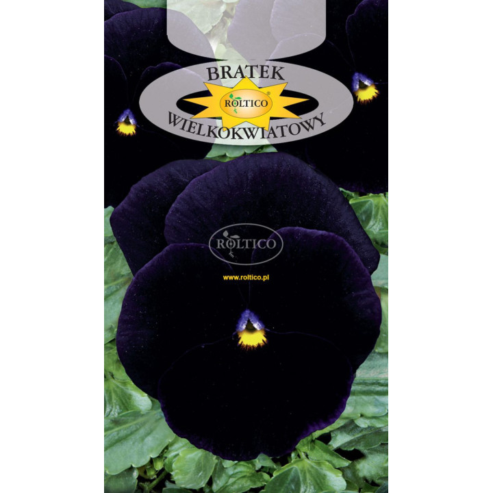 Bratek ogrodowy Granat /Bergwacht/ 0,5g ROL