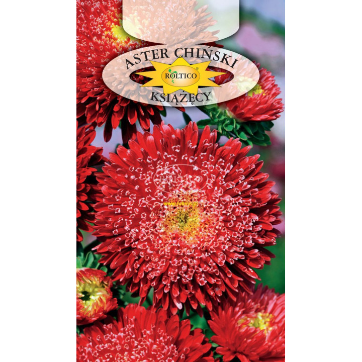 Aster książęcy Czerwony 1g ROL
