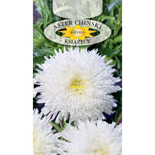 Aster książęcy Biały 1g ROL