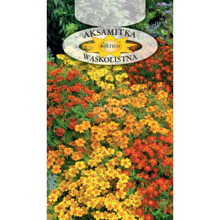 Aksamitka wąskolistna Mieszanka 0,3g ROL