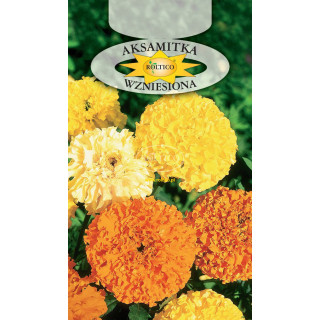 Aksamitka wzniesiona Mieszanka 1g ROL