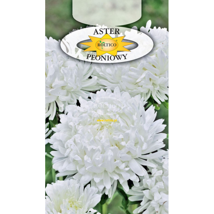 Aster peoniowy chiński biały 1g