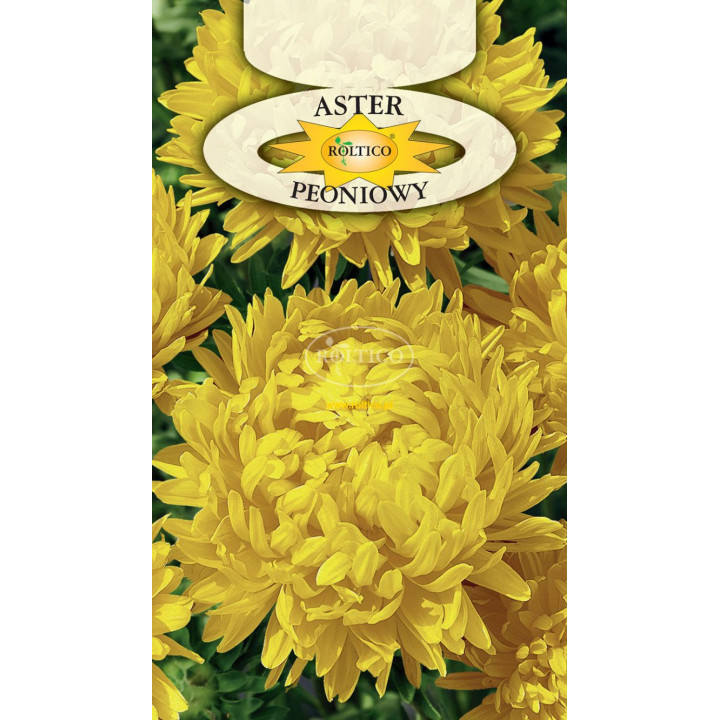 Aster peoniowy Żółty 1g ROL