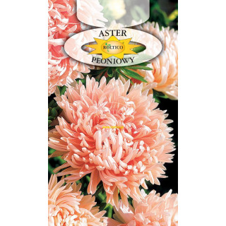 Aster peoniowy chiński łososiowy 1g