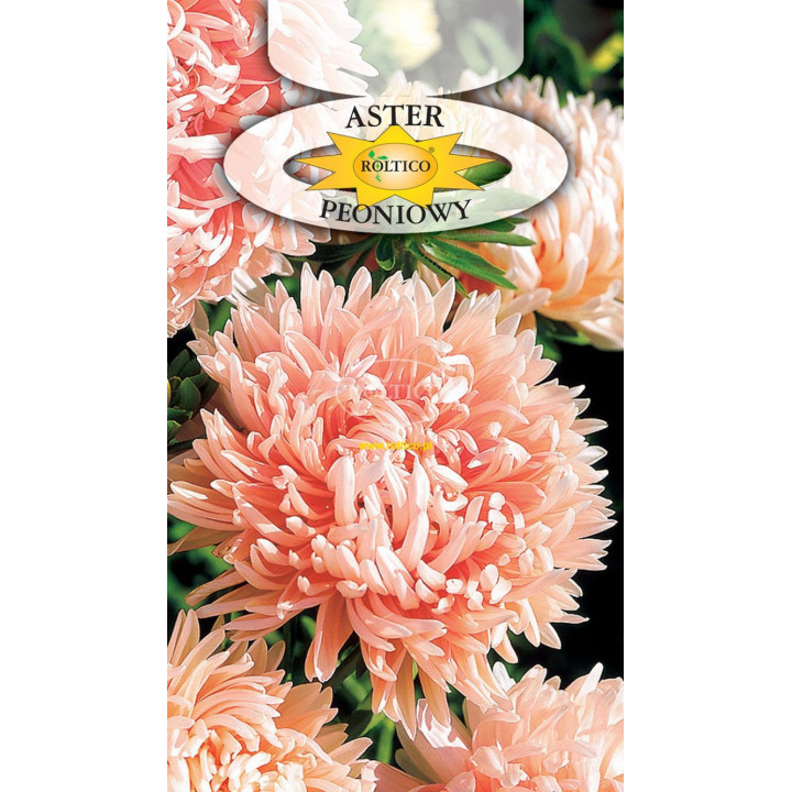 Aster peoniowy chiński łososiowy 1g