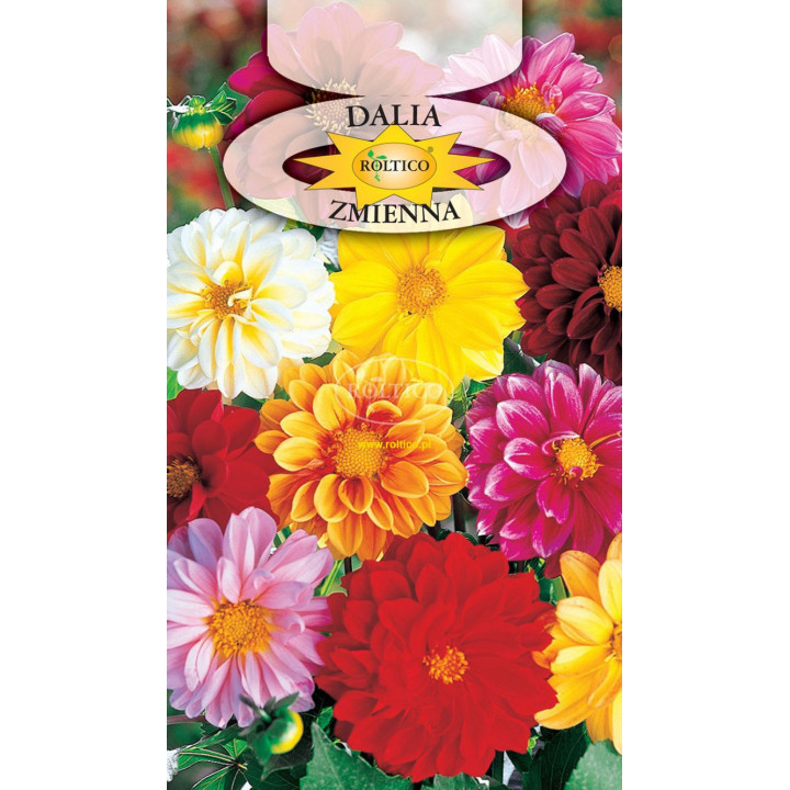 Dalia zmienna Unwins - mieszanka 1g ROL